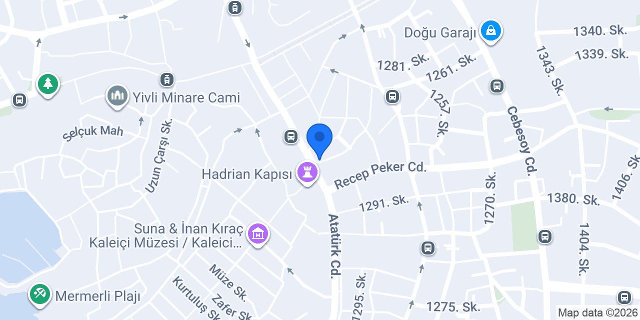 Nar Vize Global konumu