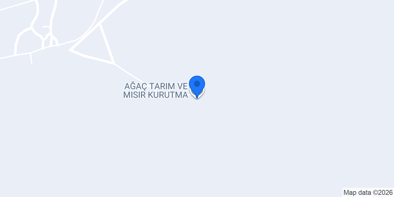 AĞAÇ TARIM VE MISIR KURUTMA konumu