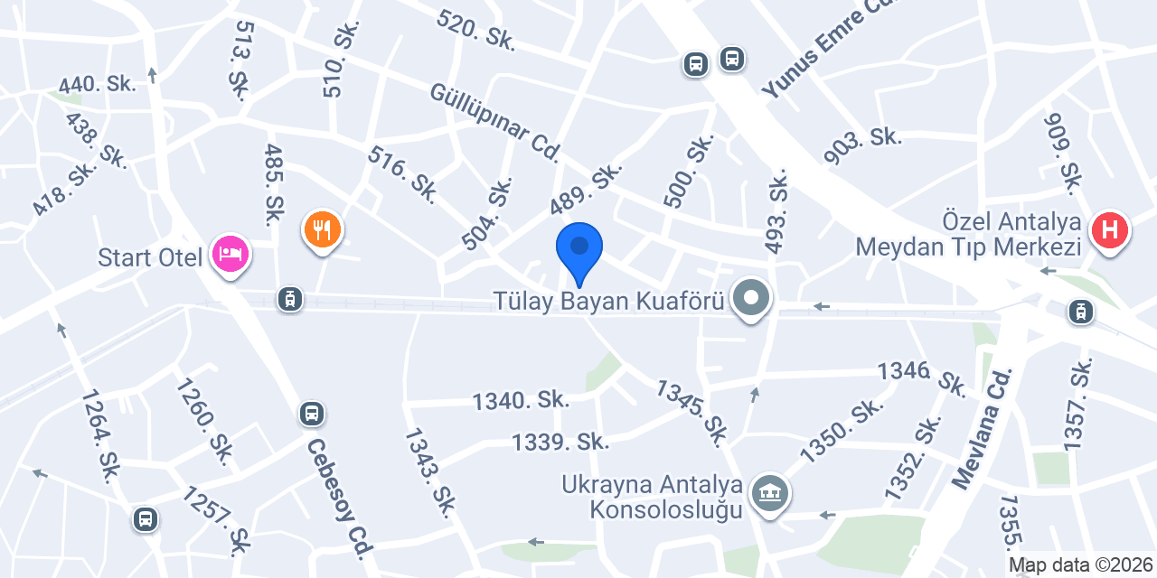 Aslan Petshop konumu