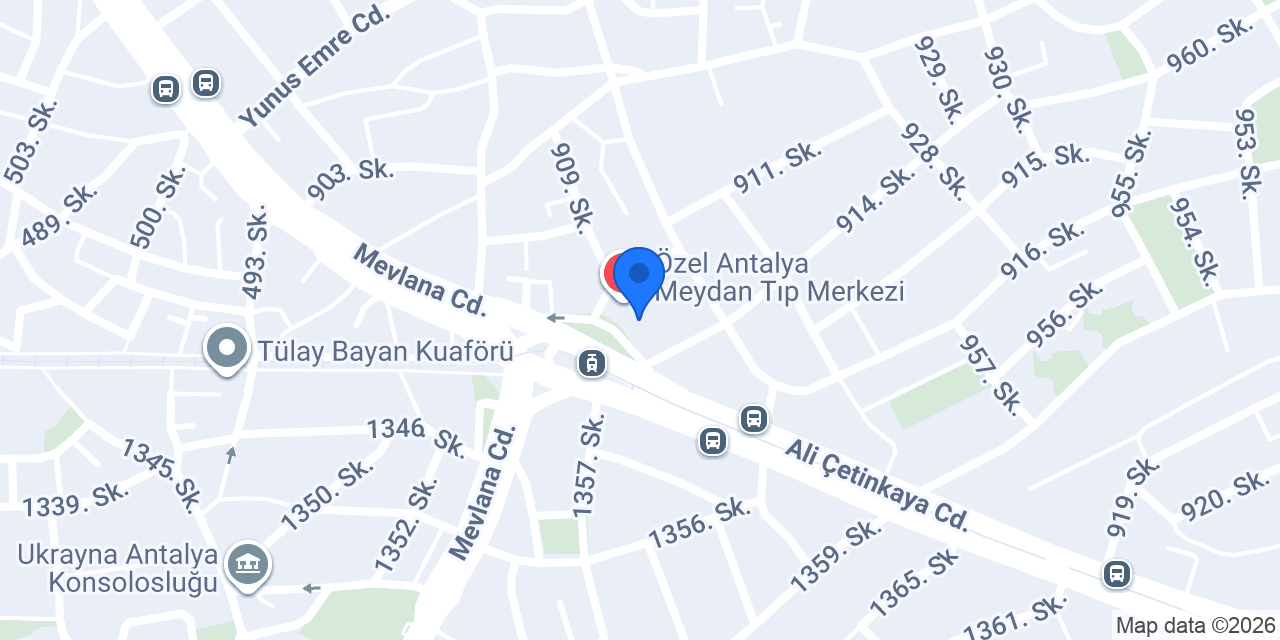 Martı Taksi konumu