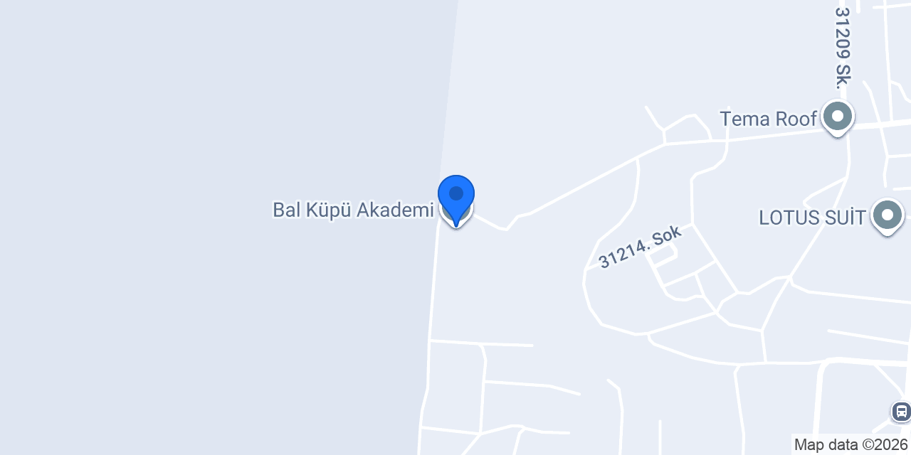 Bal Küpü Akademi konumu