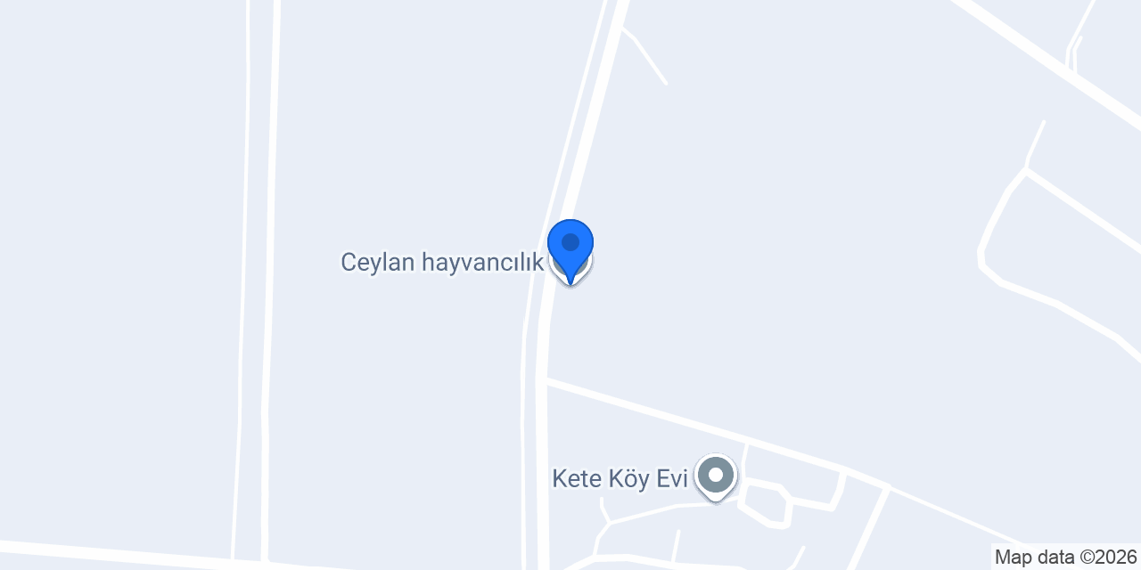 Ceylan hayvancılık konumu
