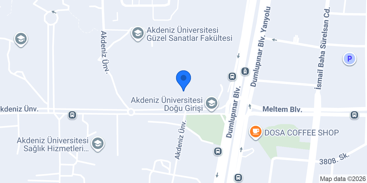katsı konumu