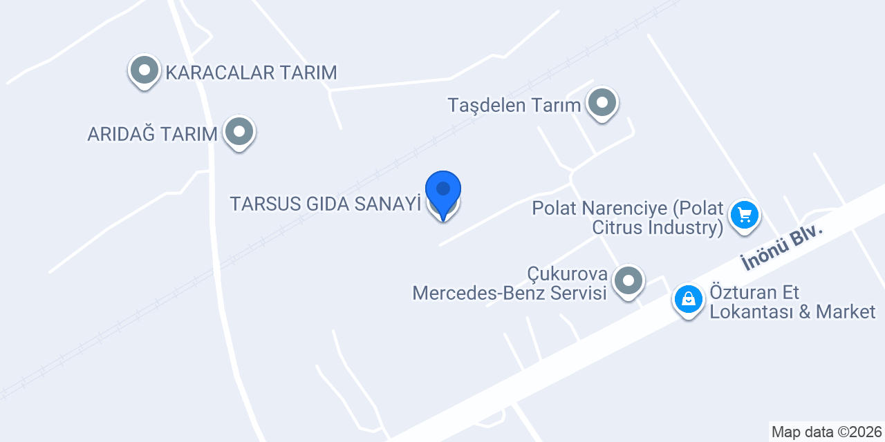 TARSUS GIDA SANAYİ konumu