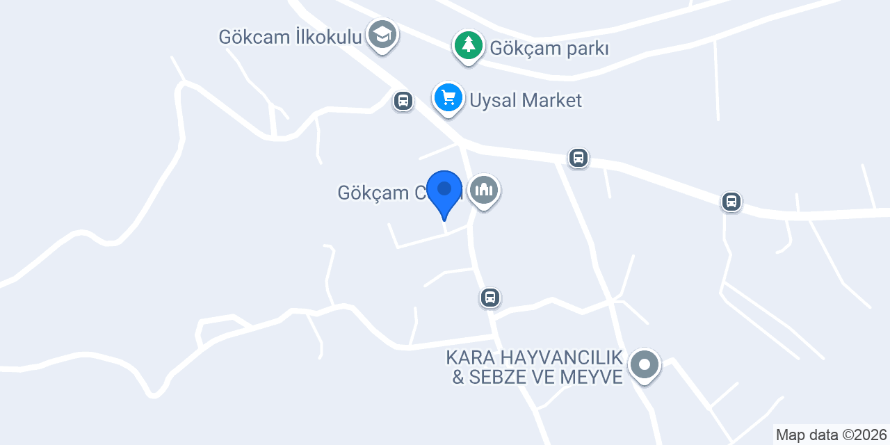 Nzr tur konumu