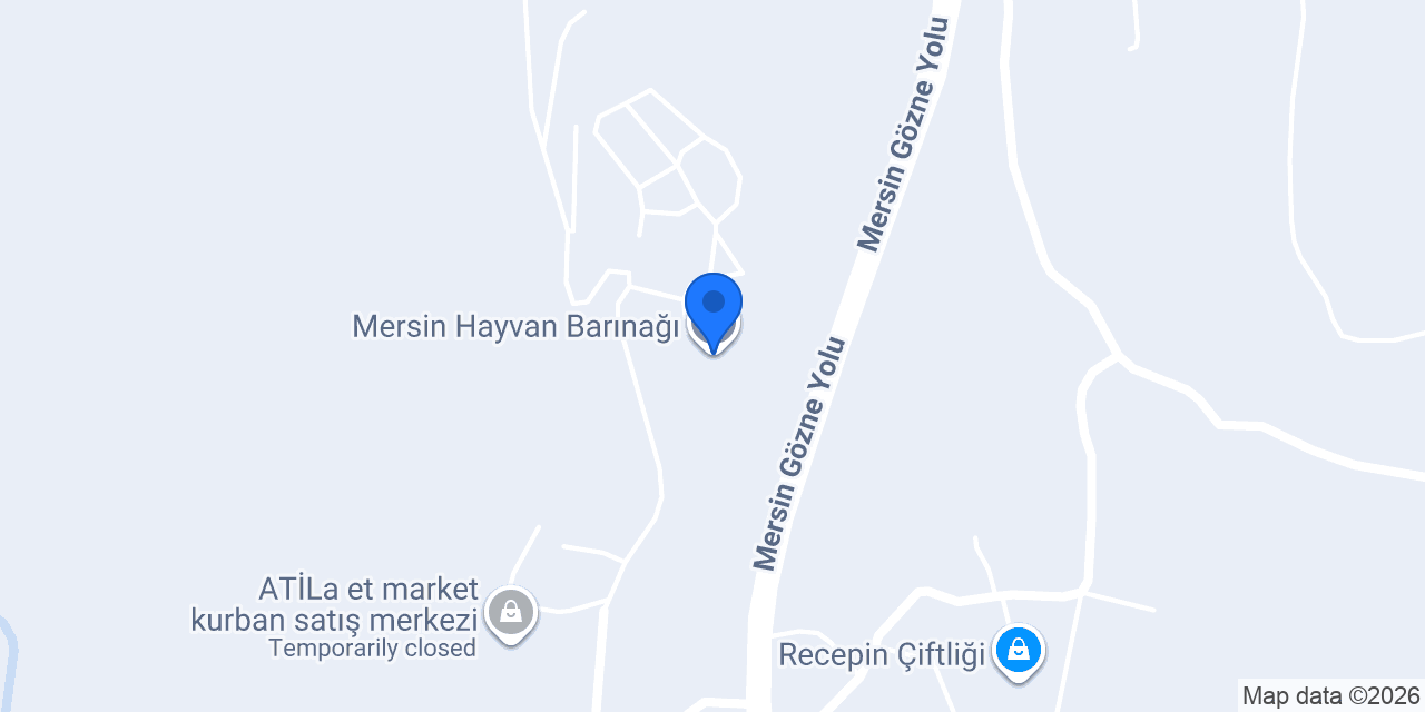 Mersin Hayvan Barınağı konumu