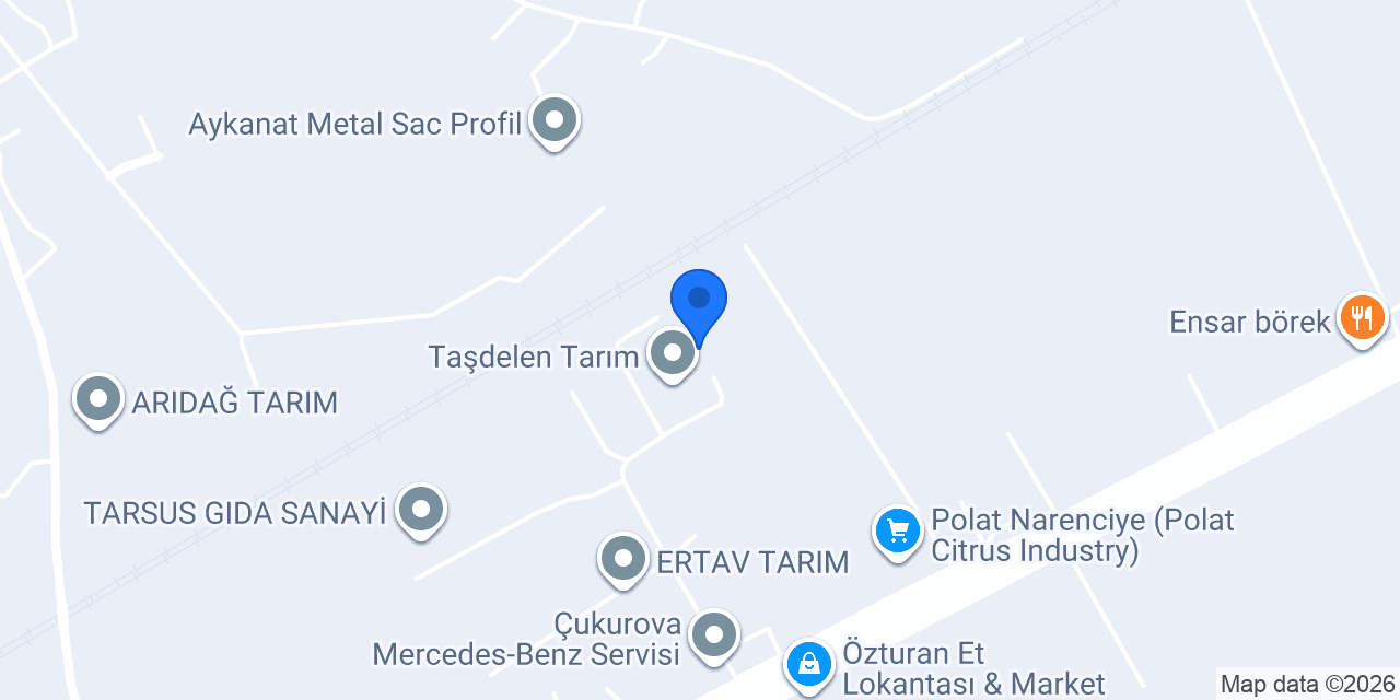 TARSUS KRAL FİLE konumu