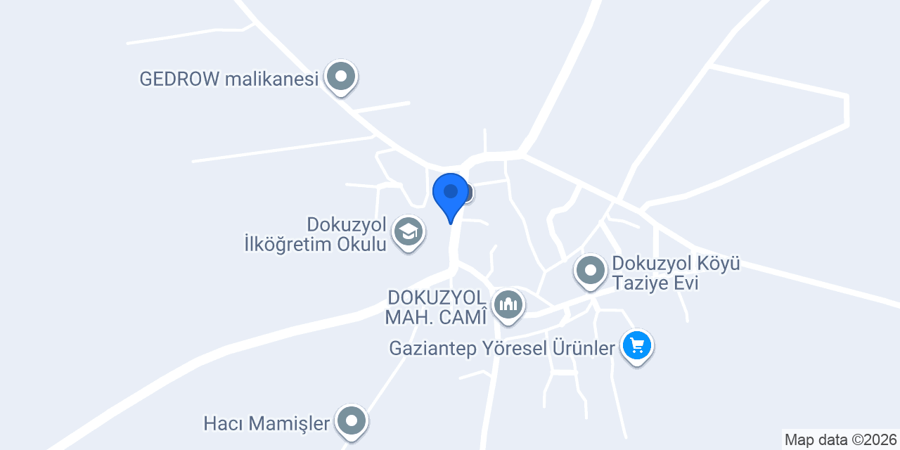 Dokuzyol Mahallesi Muhtarlığı konumu