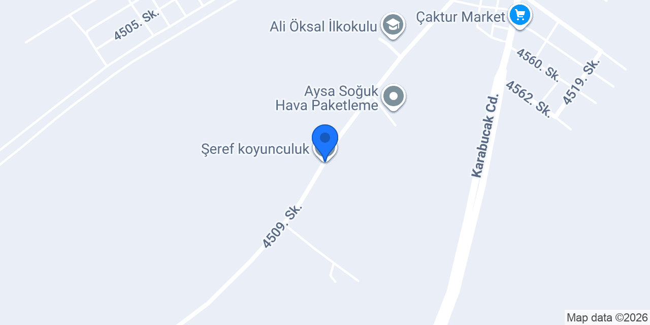 Şeref koyunculuk konumu