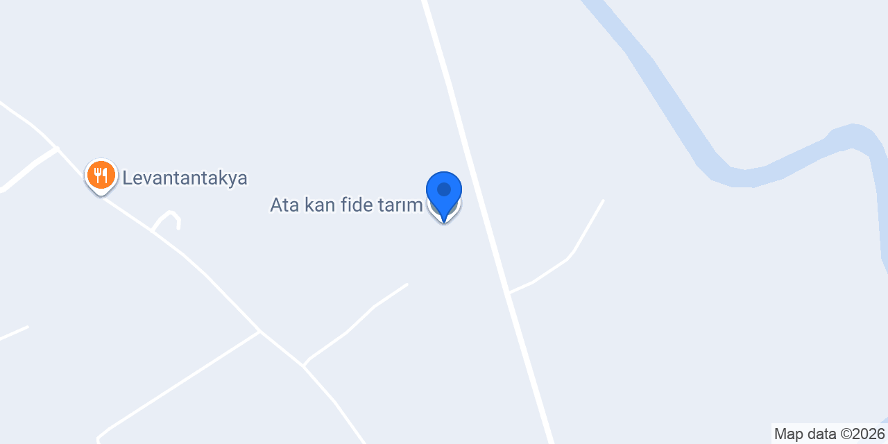Ata kan fide tarım konumu