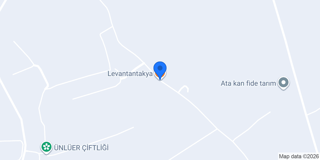 Levantantakya konumu