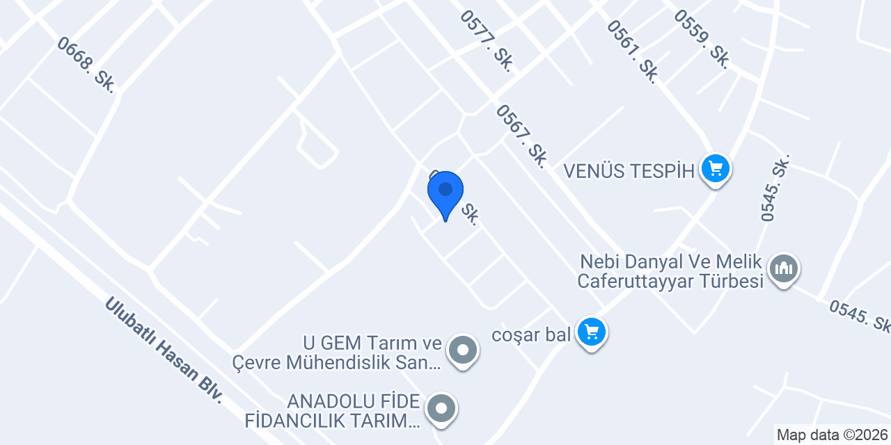 ENTER oğlu dekorasyon konumu