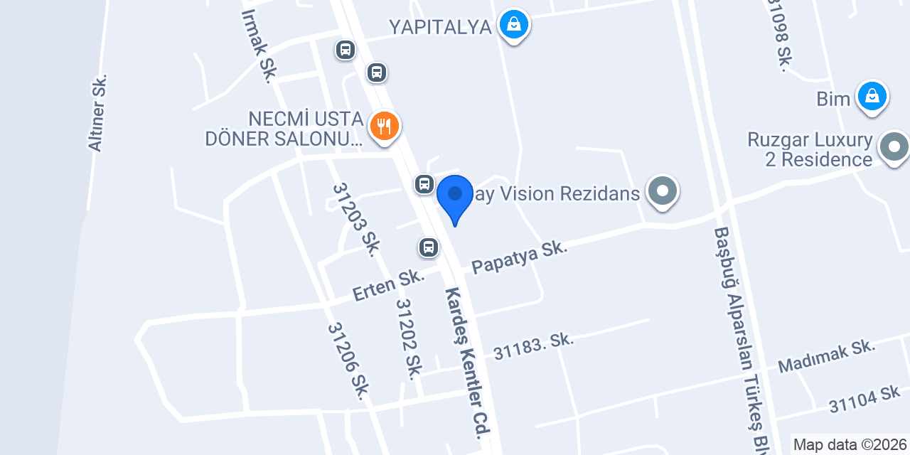 AUTO LİON SERVİCE konumu