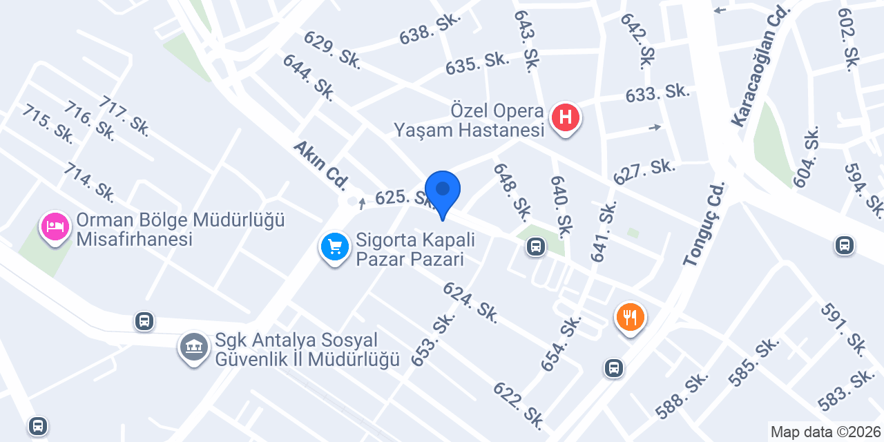 Ant Global Baskı konumu