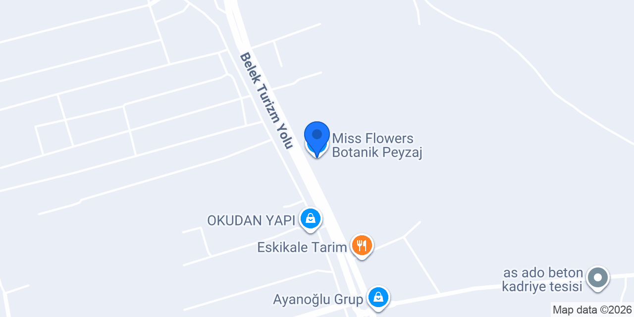 Miss Flowers Botanik Peyzaj konumu