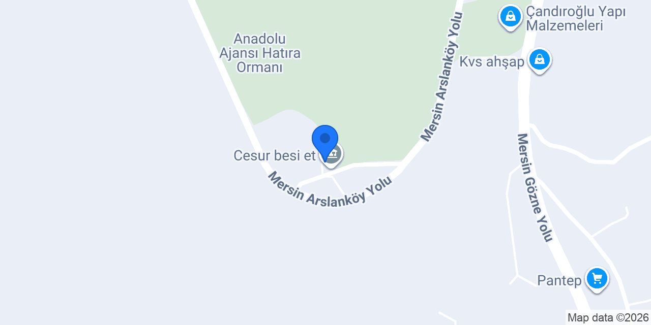 Cesur besi et konumu