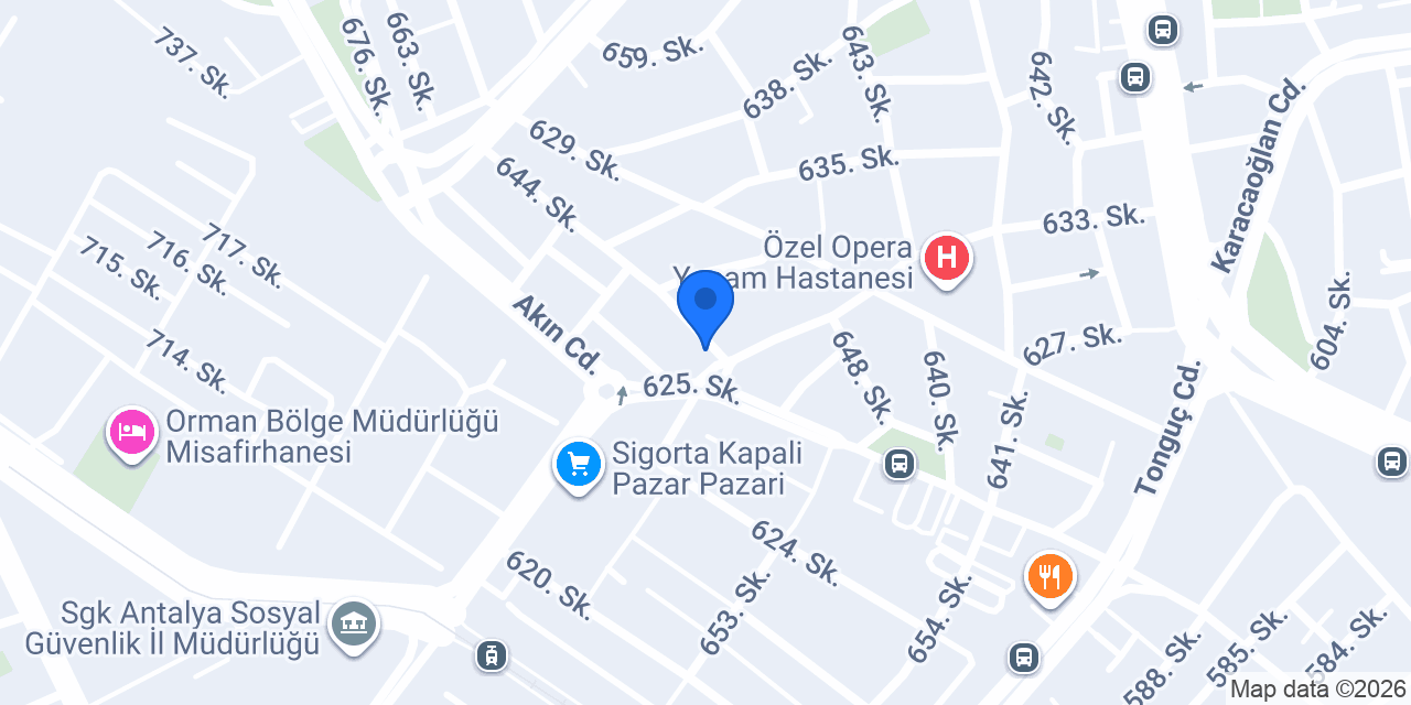 Çınar pide konumu