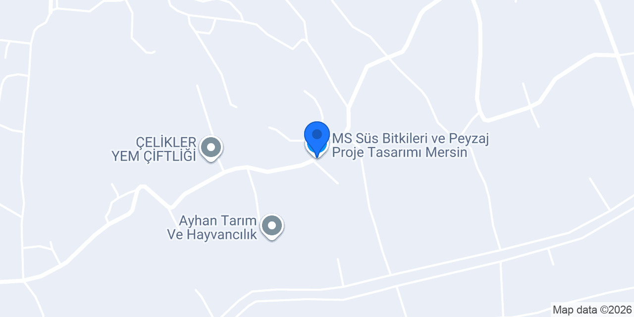 MS Süs Bitkileri ve Peyzaj Proje Tasarımı Mersin konumu