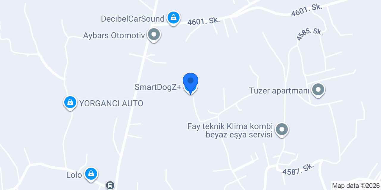 SmartDogZ+ konumu