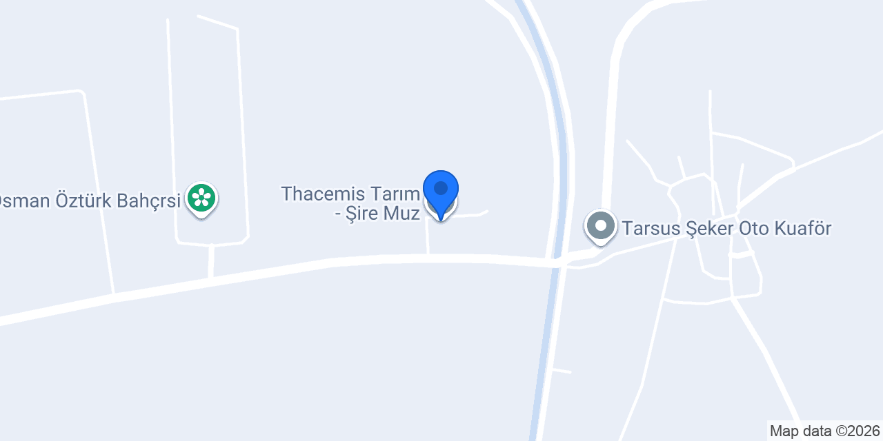Thacemis Tarım - Şire Muz konumu