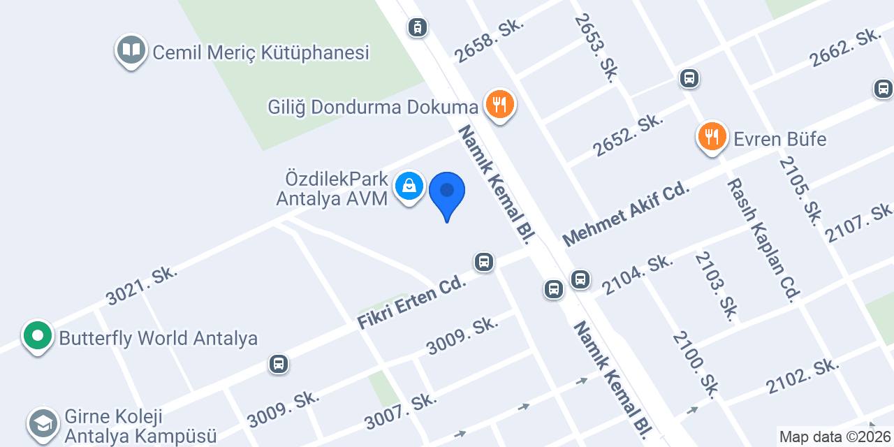 Koton konumu