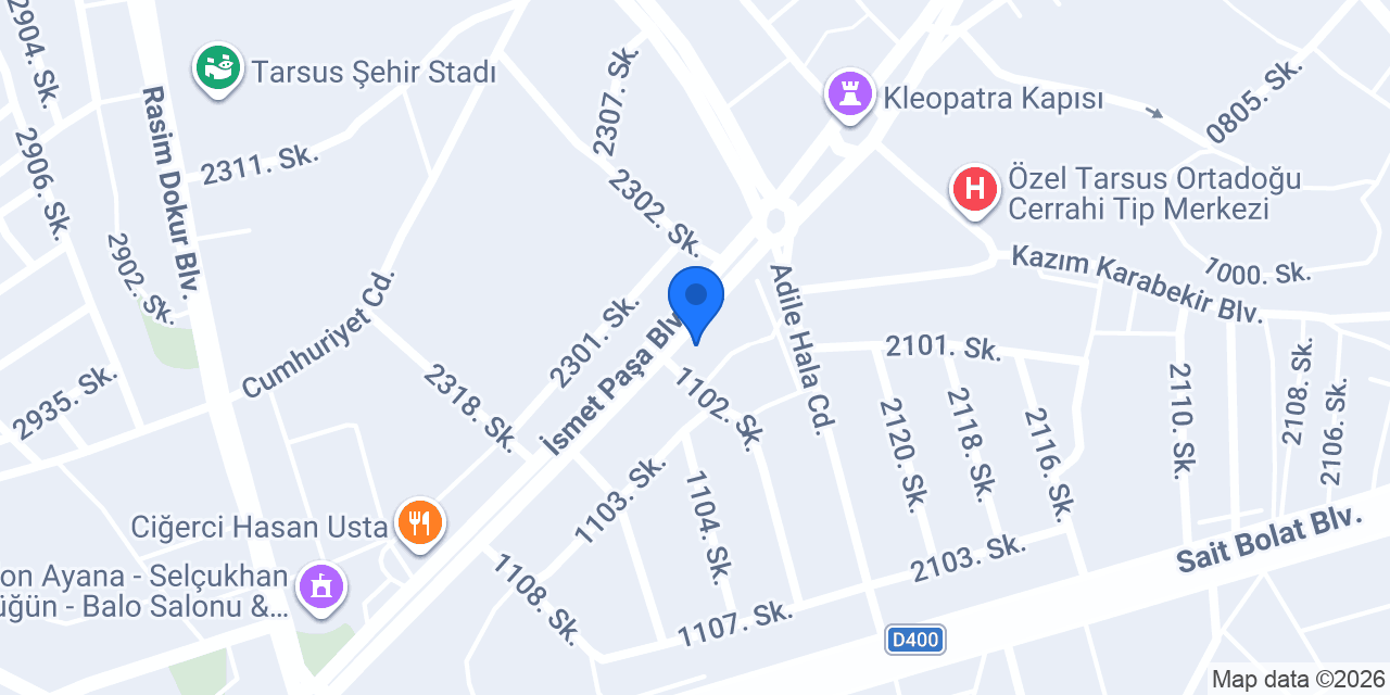 Oto Taşkın Tarsus konumu