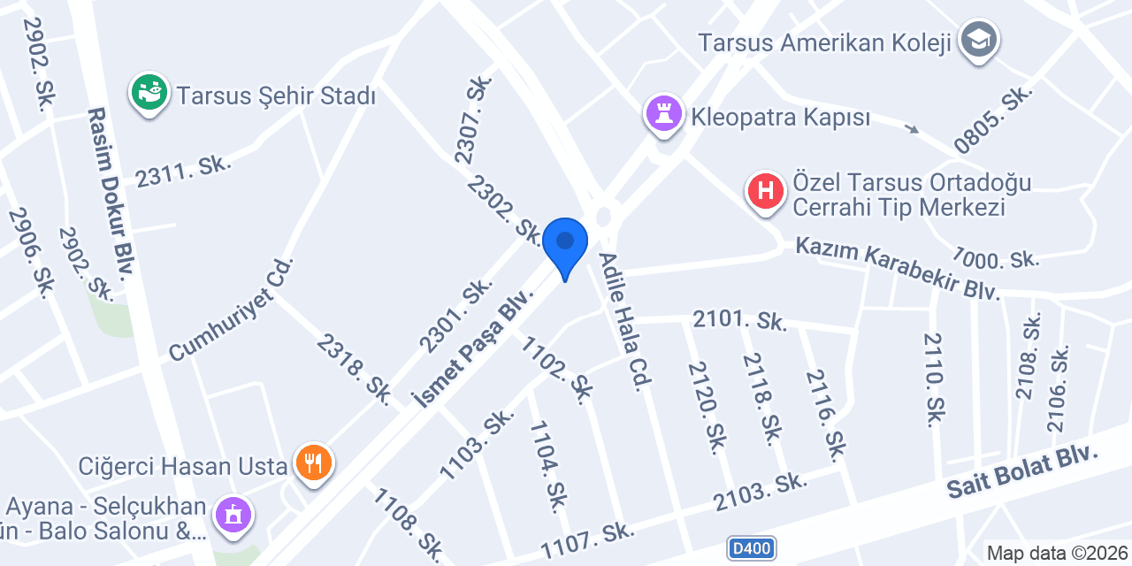 Tarsus Ege Elektrik konumu