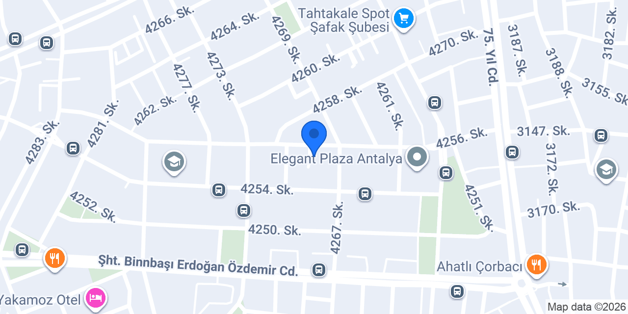 Alise Rent A Car Antalya konumu