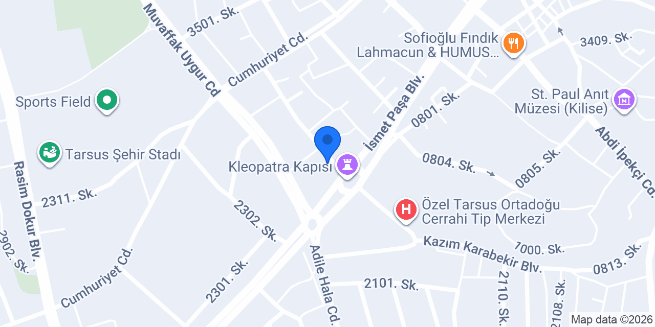 YDS Academy Tarsus Şubesi konumu