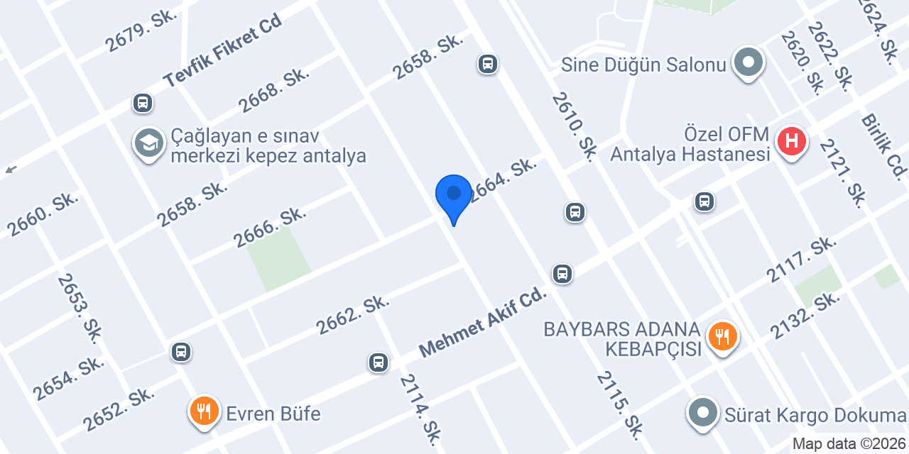 Terzi Naile konumu