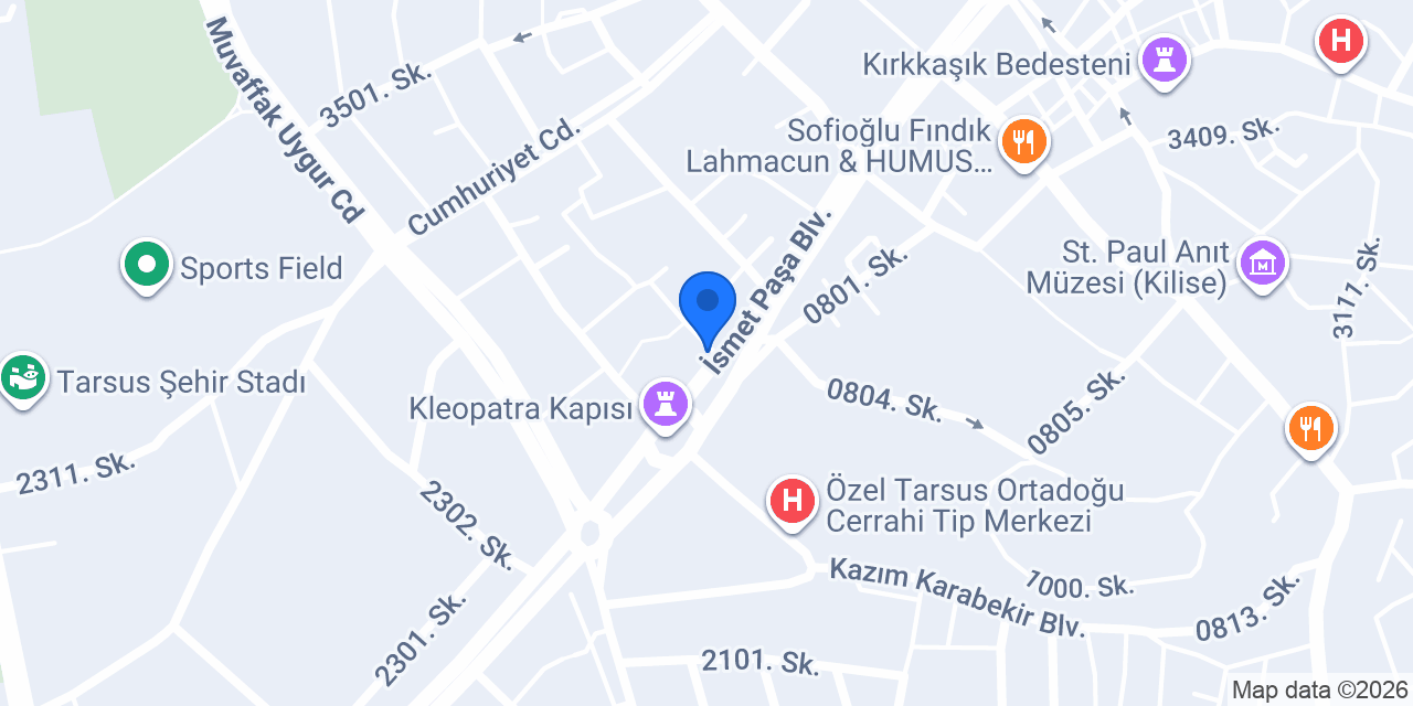 Terzi Uğur Tarsus konumu