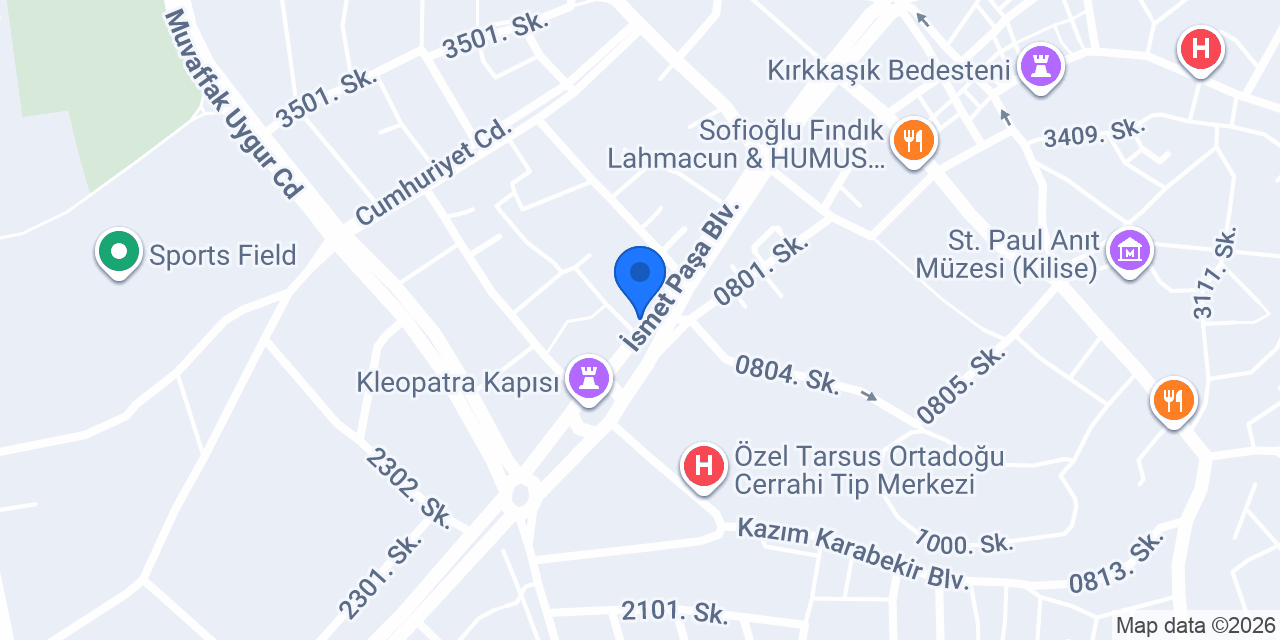 İskenderun döner Tarsus konumu