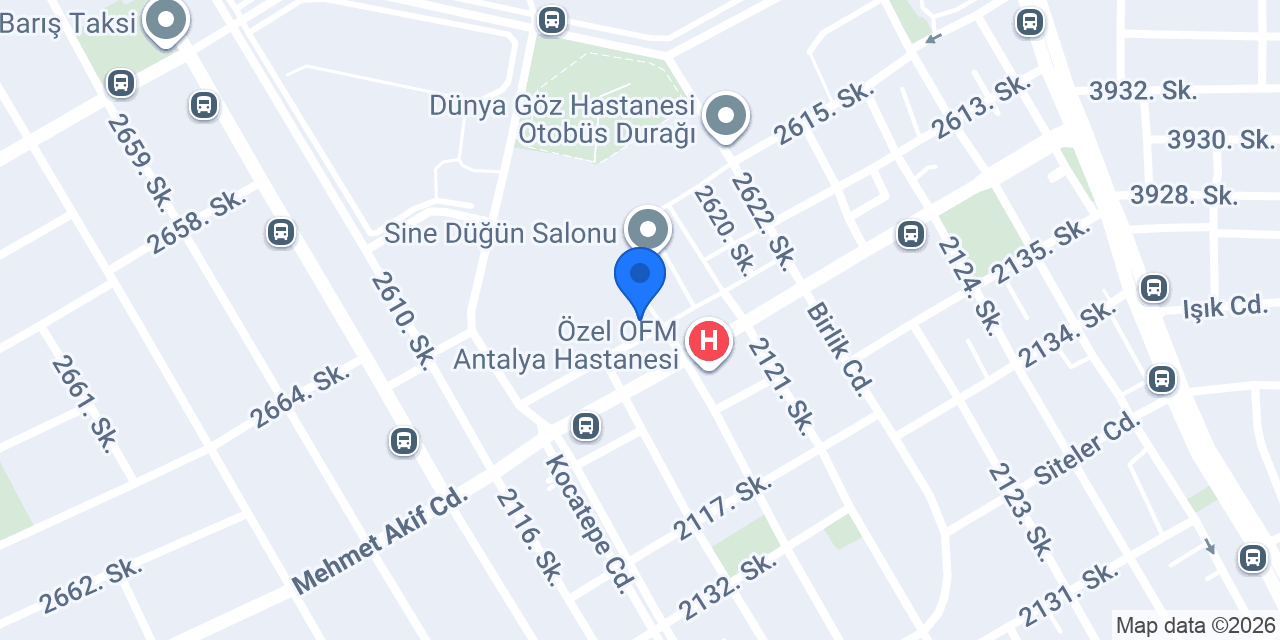 Velioğlu Gıda konumu