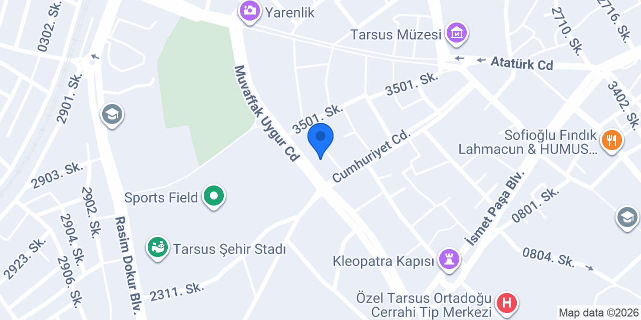 Domino's Pizza Tarsus konumu