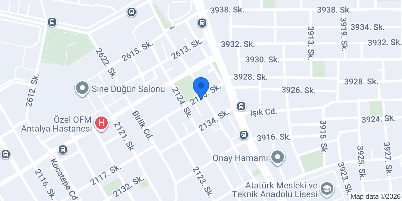 Saruhan Veteriner Kliniği konumu