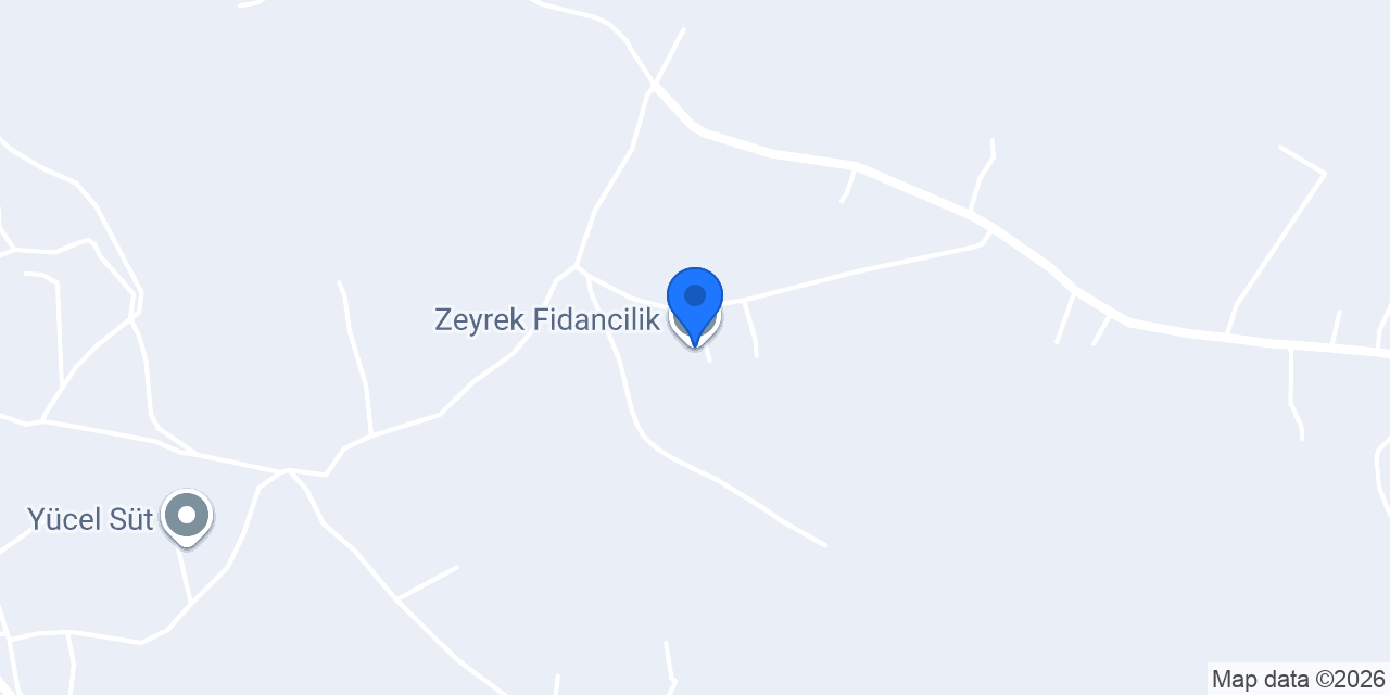 Zeyrek Fidancilik konumu