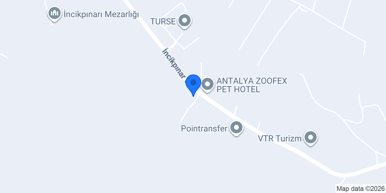 Levant Torf - Kaktüs Ve Sukulent konumu