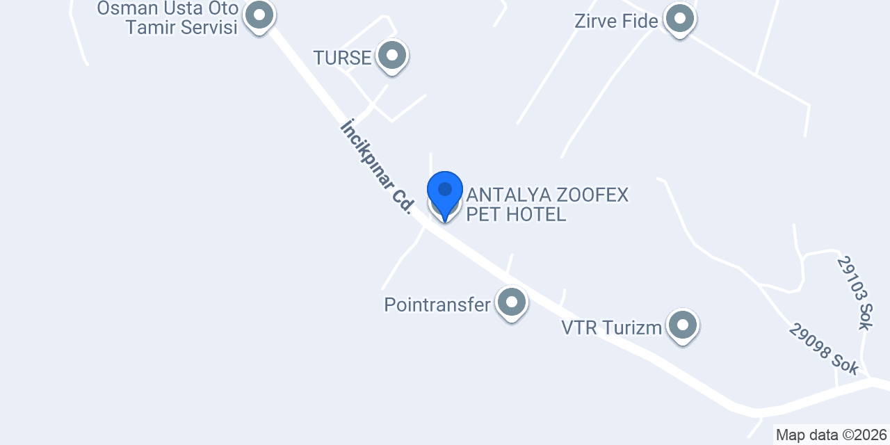 ANTALYA ZOOFEX PET HOTEL konumu