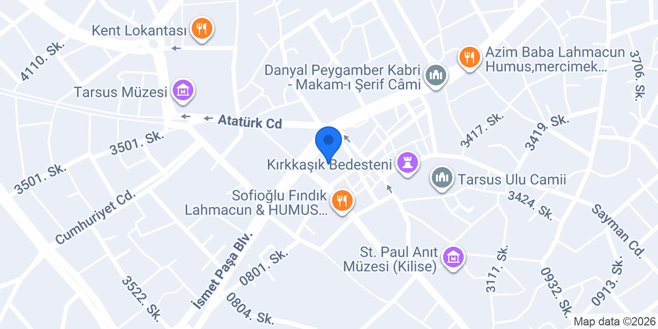 BORLUOĞLU ENERJİ konumu