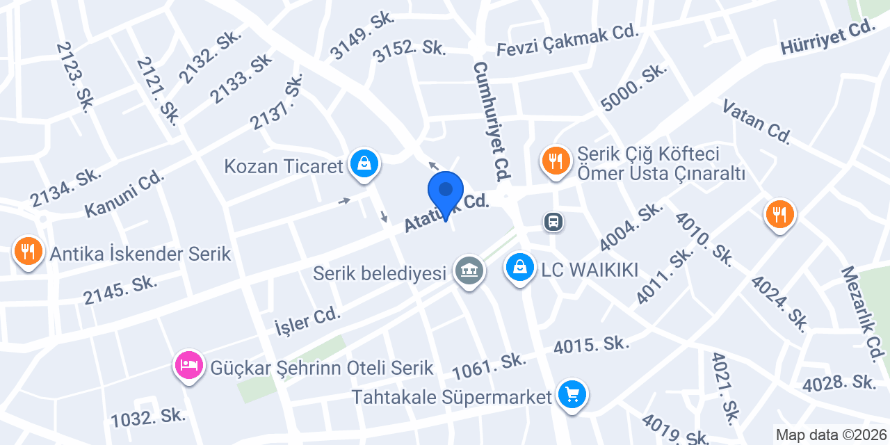Japon Pazarı konumu