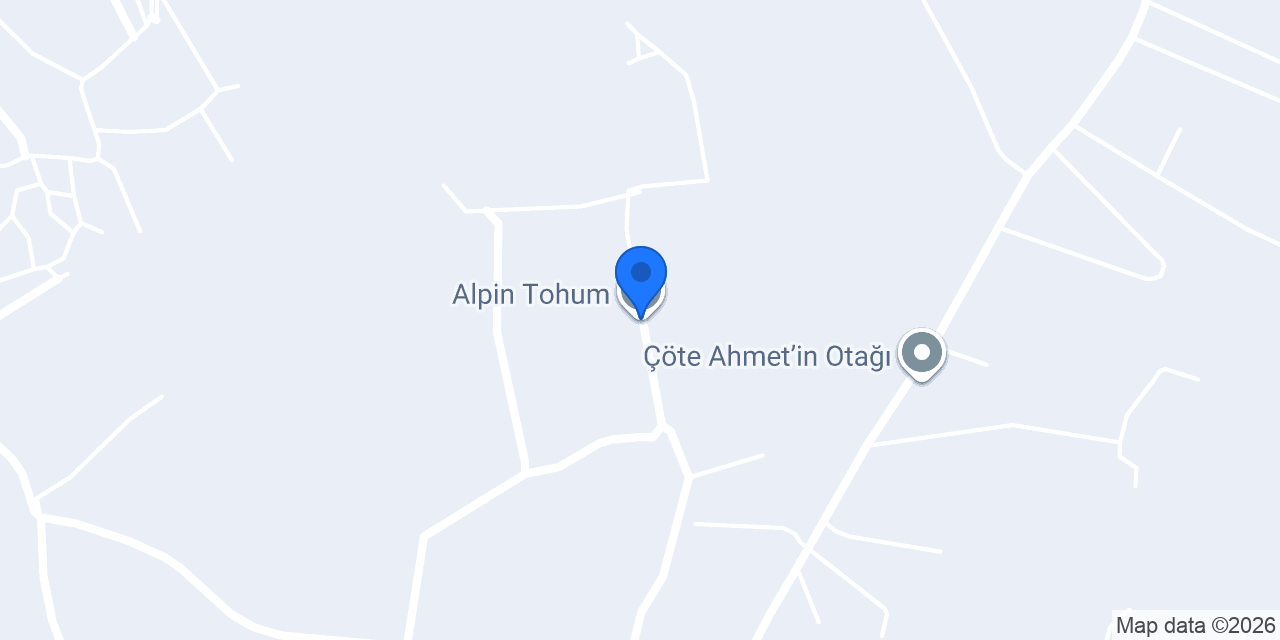 Alpin Tohum konumu