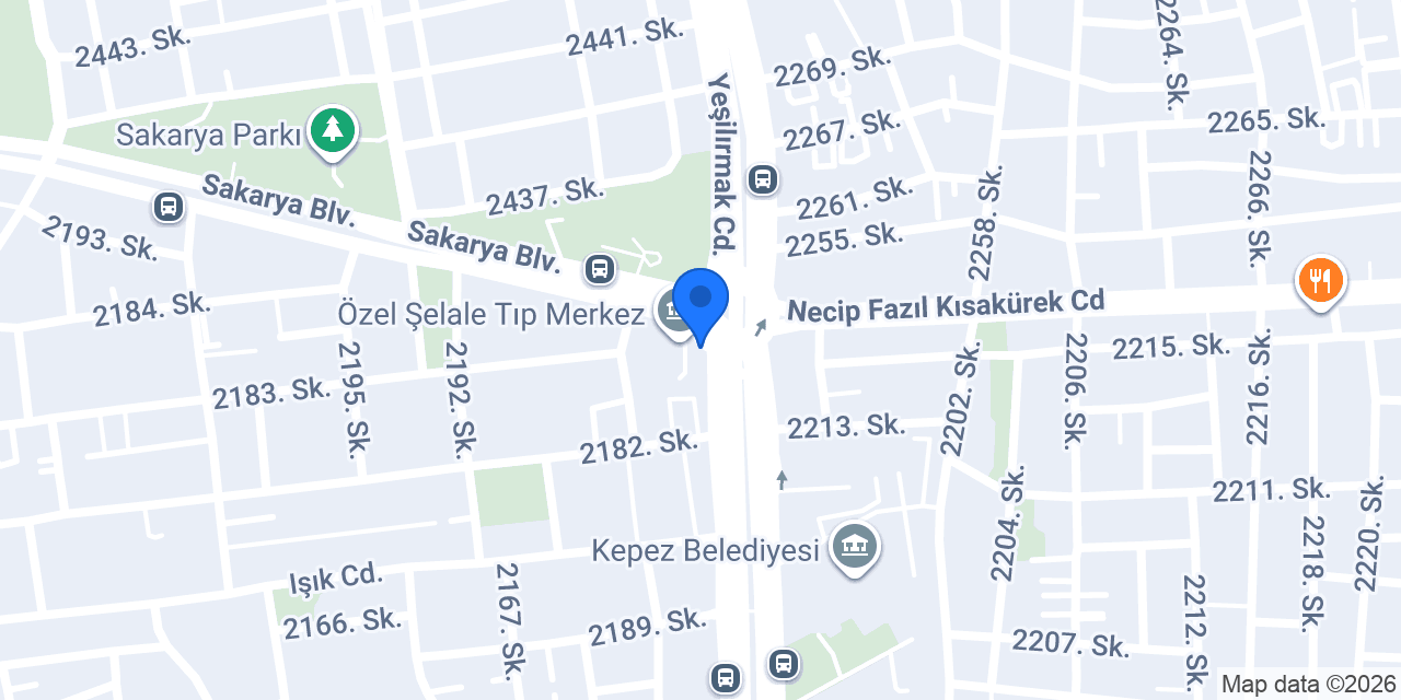 Özel Azra Sürücü Kursu konumu