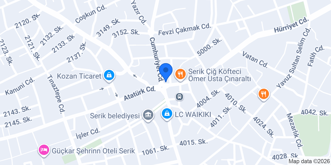BASKIN NAKLİYAT konumu