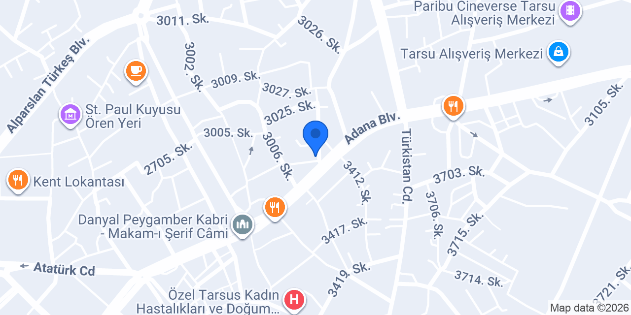 Dinamik oto konumu