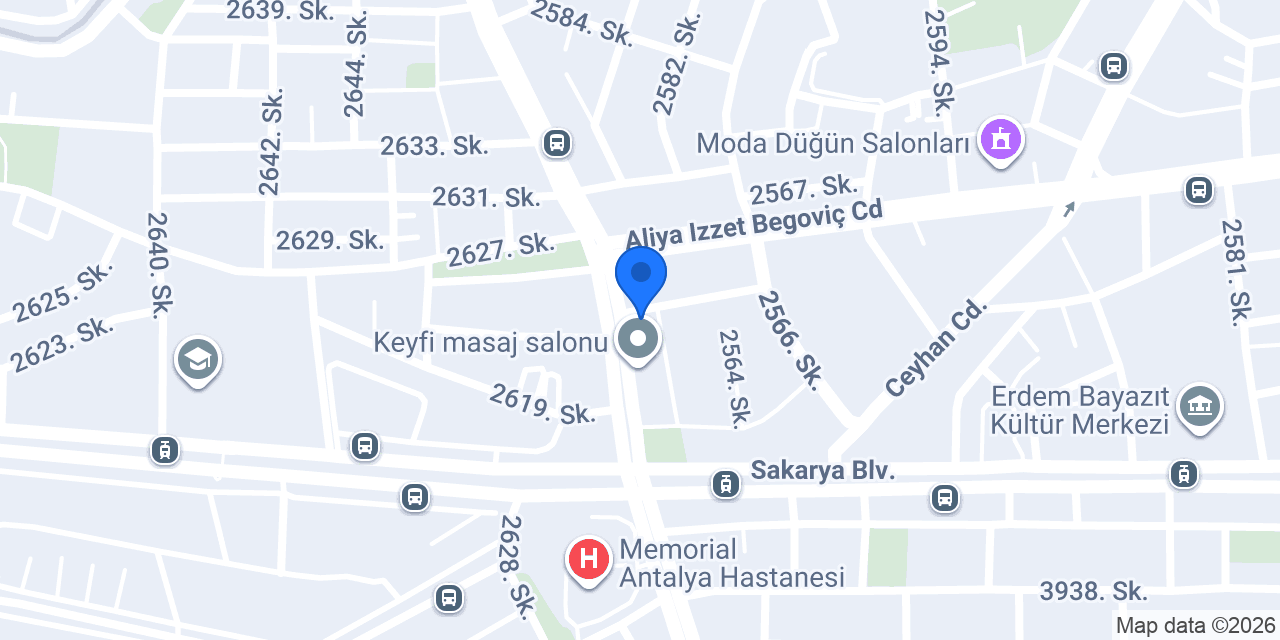 ALKANOĞULLARI PETLAS BAYİ konumu