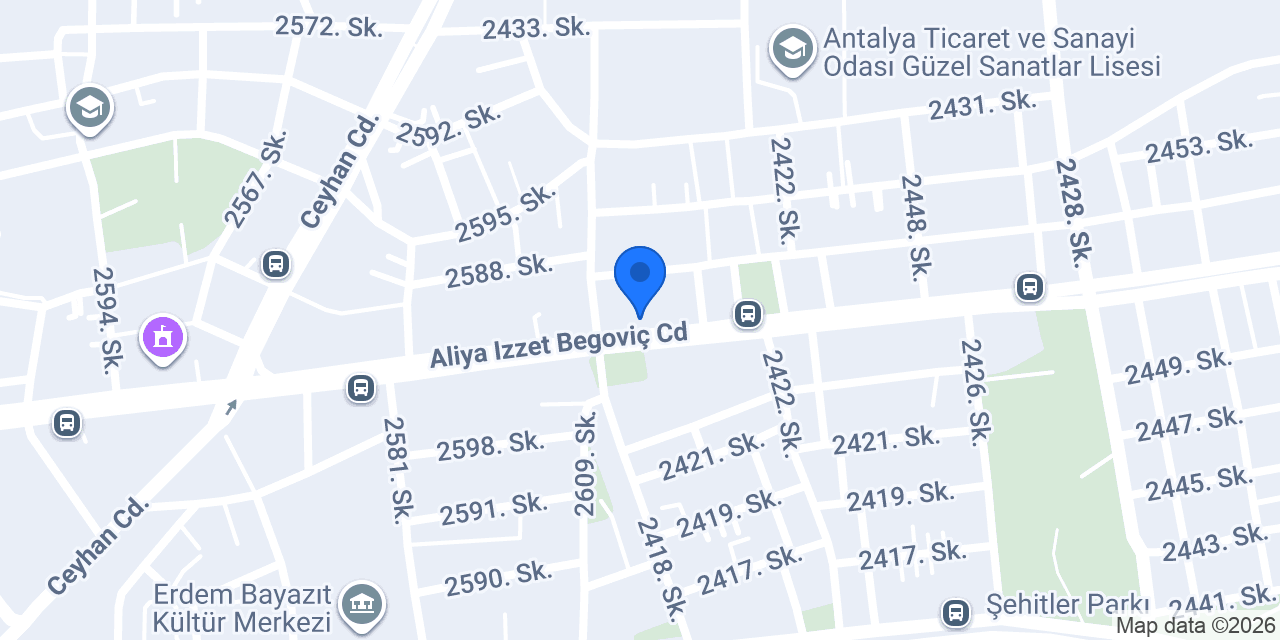TAŞPINAR OTO LASTİK konumu