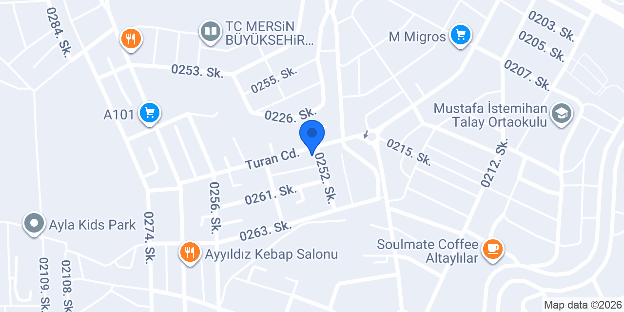 Özel Bilim Sarayı Anaokulu konumu
