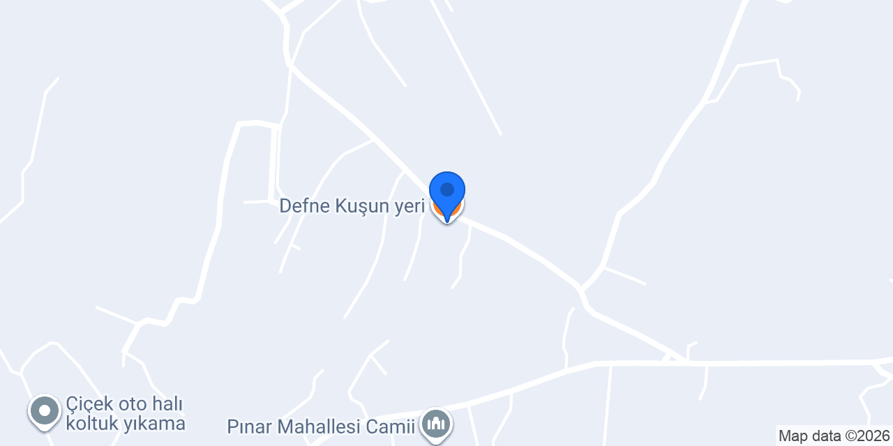 Defne Kuşun yeri konumu