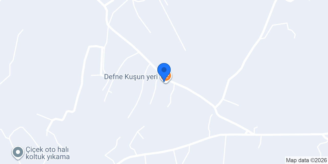 Sarmaşık konumu
