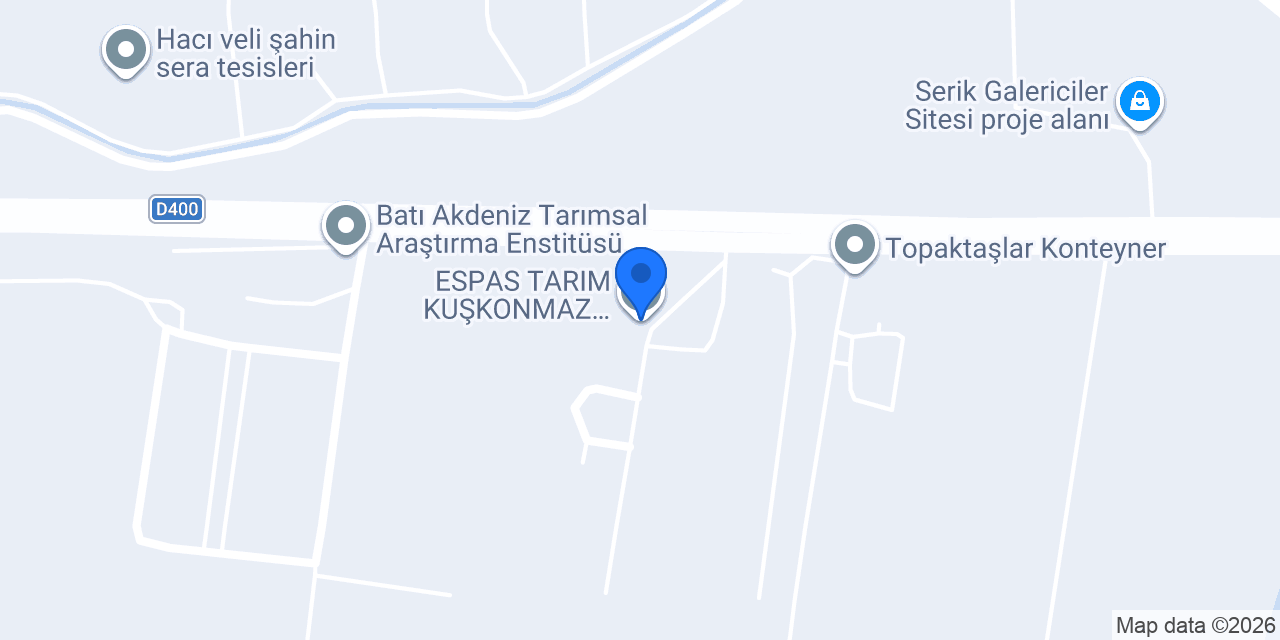 ESPAS TARIM KUŞKONMAZ (ASPARAGUS OFFİCİNALİS) konumu